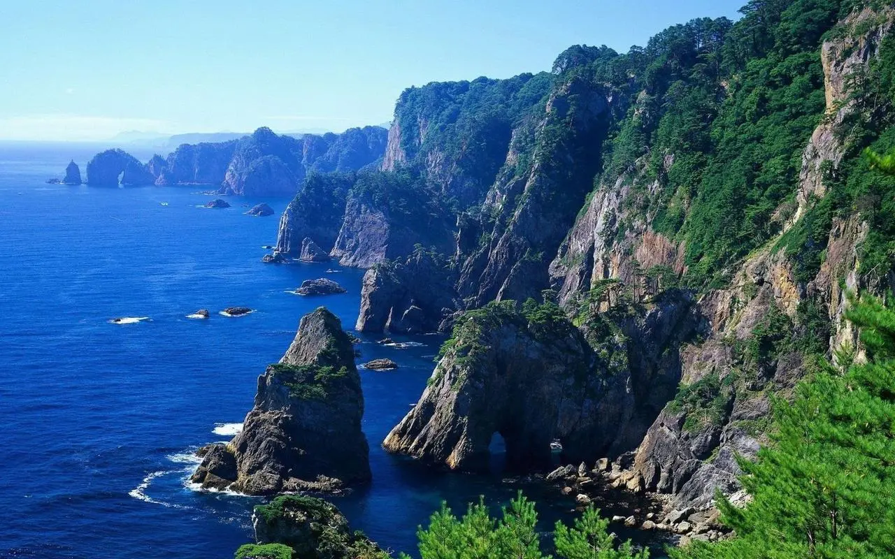 信息化先进全自动